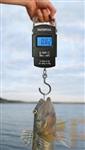 Peser des poissons à la pêche - Dynamomètre digital - Faithfull 4800810